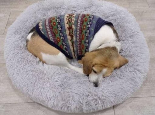 Fluffy Dog Beds